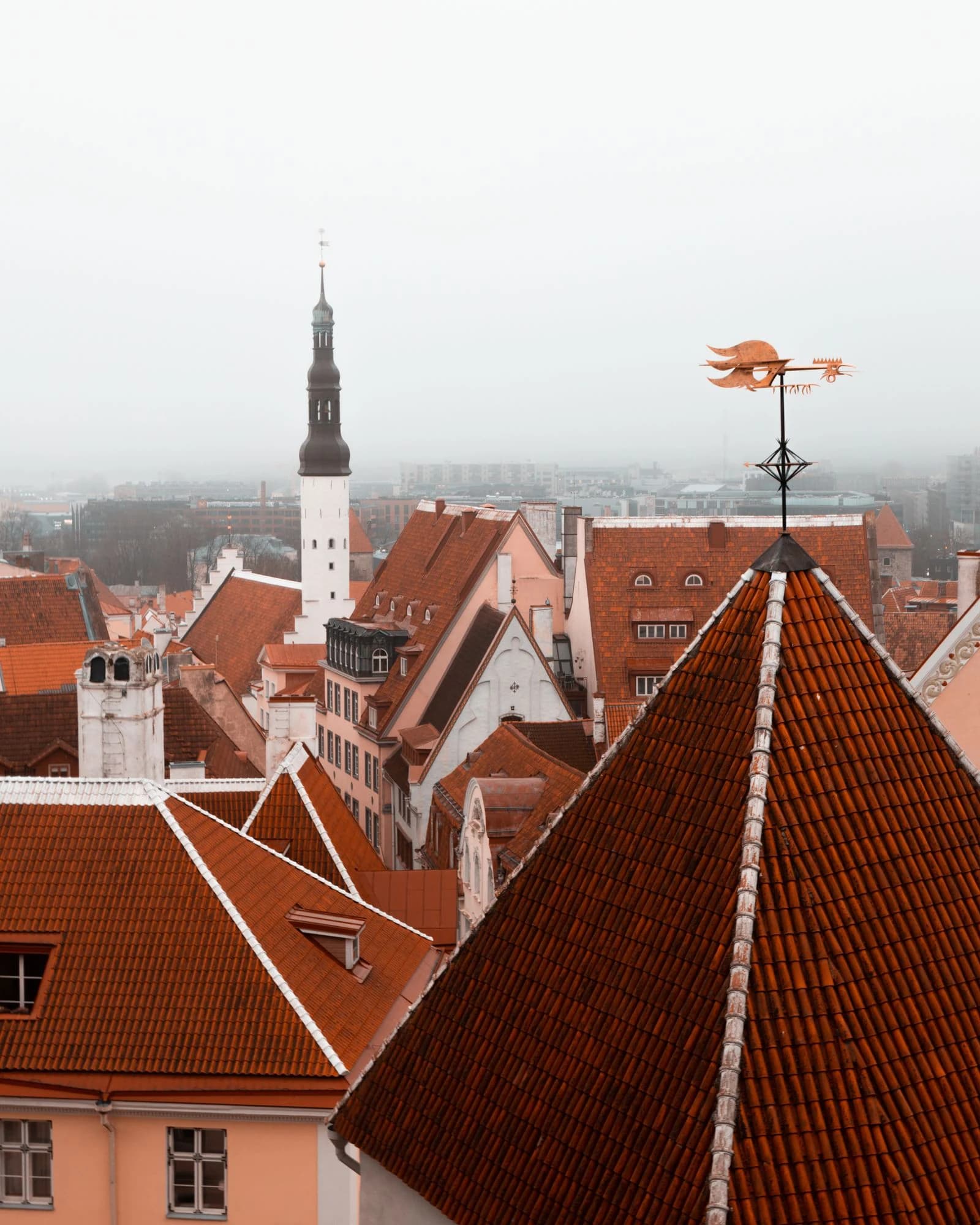 Red rooftops and church spires across Tallinn's historic old town in Estonia